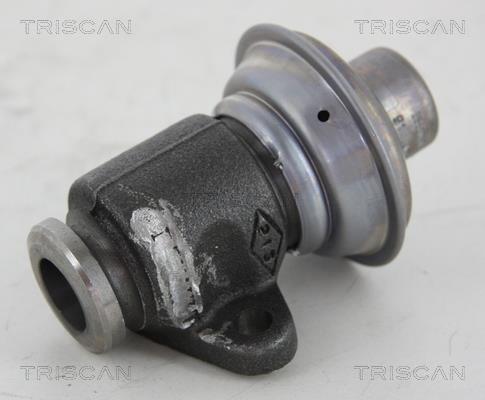 Triscan 8813 25006 Клапан рециркуляції відпрацьованих газів EGR 881325006: Купити в Україні - Добра ціна на EXIST.UA!