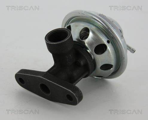 Triscan 8813 29050 Клапан рециркуляції відпрацьованих газів EGR 881329050: Купити в Україні - Добра ціна на EXIST.UA!
