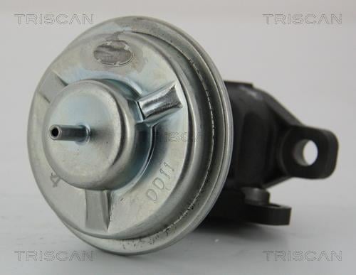 Triscan 8813 43003 Клапан рециркуляції відпрацьованих газів EGR 881343003: Приваблива ціна - Купити в Україні на EXIST.UA!