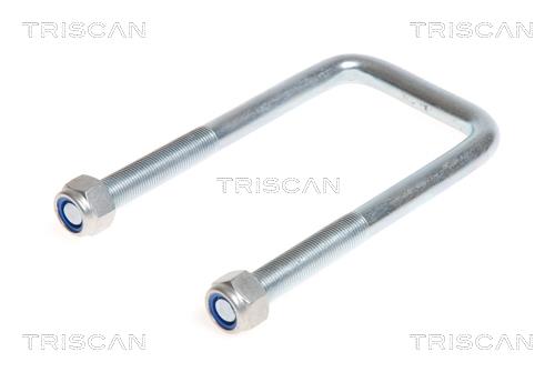 8765100012 Triscan Скоба ресори