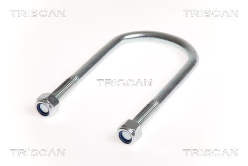 8765100011 Triscan Стремянка рессоры