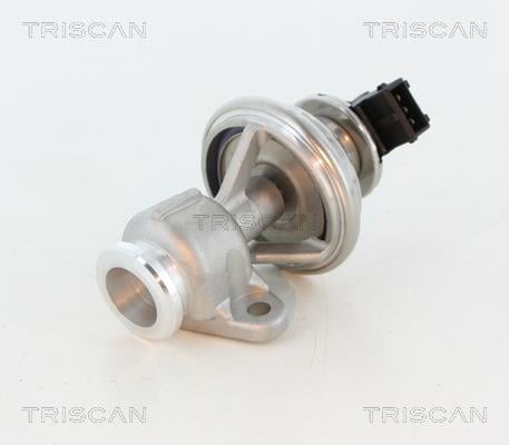 Triscan 8813 44010 Клапан рециркуляції відпрацьованих газів EGR 881344010: Купити в Україні - Добра ціна на EXIST.UA!