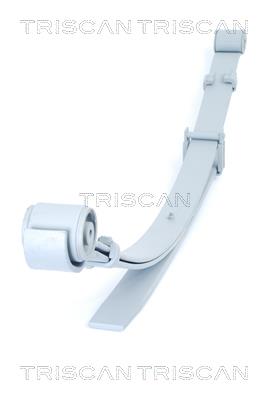 Triscan 8765 29021 Ресора листова 876529021: Приваблива ціна - Купити в Україні на EXIST.UA! 876529021 Triscan Ресора листова