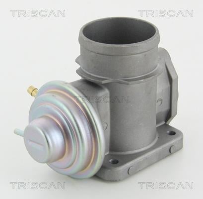 Triscan 8813 10101 Клапан рециркуляції відпрацьованих газів EGR 881310101: Купити в Україні - Добра ціна на EXIST.UA!