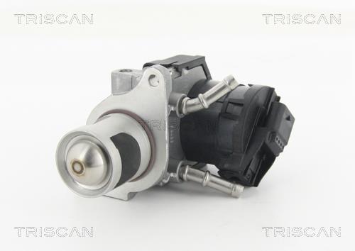 Triscan 8813 11001 Клапан рециркуляції відпрацьованих газів EGR 881311001: Купити в Україні - Добра ціна на EXIST.UA!