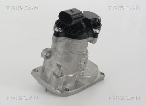 Triscan 8813 16151 Клапан рециркуляції відпрацьованих газів EGR 881316151: Купити в Україні - Добра ціна на EXIST.UA!