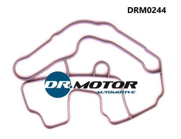 Dr.Motor DRM0244 Прокладка термостата DRM0244: Купити в Україні - Добра ціна на EXIST.UA!