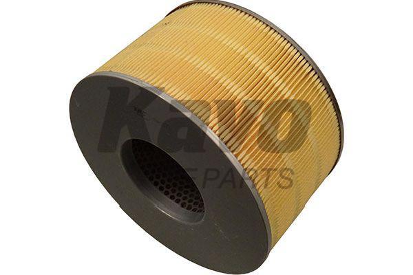 Купить Kavo parts TA1677 – отличная цена на EXIST.UA!