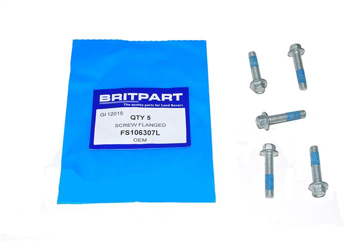 Britpart FS106307L Болт FS106307L: Купити в Україні - Добра ціна на EXIST.UA!