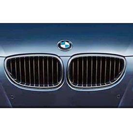 BMW 51 71 2 155 447 Решітка радіатора чорна л 51712155447: Купити в Україні - Добра ціна на EXIST.UA!