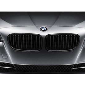 BMW 51 71 2 165 528 Решітка радіатора 51712165528: Приваблива ціна - Купити в Україні на EXIST.UA!