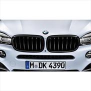 BMW 51 71 2 334 710 Решітка радіатора 51712334710: Купити в Україні - Добра ціна на EXIST.UA!