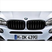 BMW 51 71 2 334 708 Решітка радіатора 51712334708: Купити в Україні - Добра ціна на EXIST.UA!