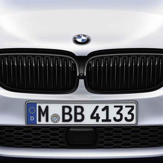 BMW 51 71 2 430 993 Решетки радиатора m performance 51712430993: Приваблива ціна - Купити в Україні на EXIST.UA!