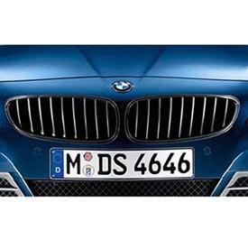 BMW 51 71 2 150 252 Решітка радіатора 51712150252: Купити в Україні - Добра ціна на EXIST.UA!