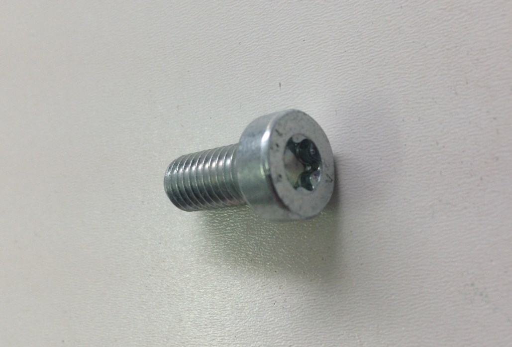 Болт Bosch F 01M 100 684