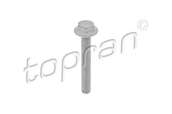 Topran 115 806 Болт 115806: Купити в Україні - Добра ціна на EXIST.UA!