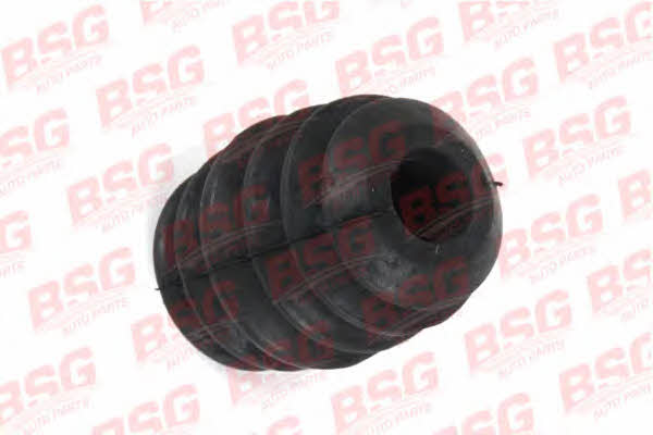 BSG 30-700-169 Пильник амортизатора 30700169: Купити в Україні - Добра ціна на EXIST.UA!
