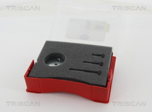 Triscan 8641 SFT001 Інструмент установки ременя 8641SFT001: Купити в Україні - Добра ціна на EXIST.UA!