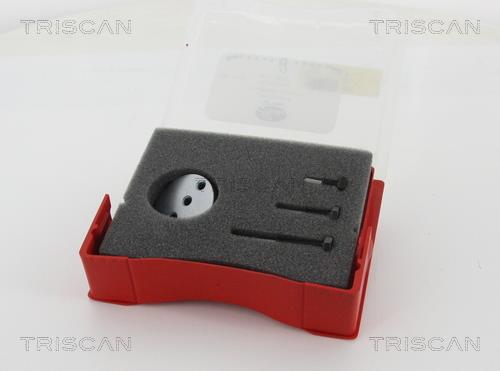 Triscan 8641 SFT005 Інструмент установки ременя 8641SFT005: Купити в Україні - Добра ціна на EXIST.UA!