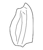 5C6881776AS VAG Обивка спинки