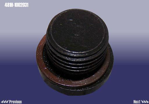 481H1002031 Chery Заглушка