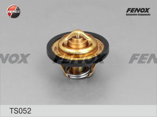 Fenox TS052 Термостат TS052: Купити в Україні - Добра ціна на EXIST.UA!