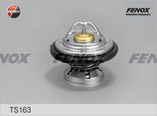 Fenox TS163 Термостат TS163: Купити в Україні - Добра ціна на EXIST.UA!