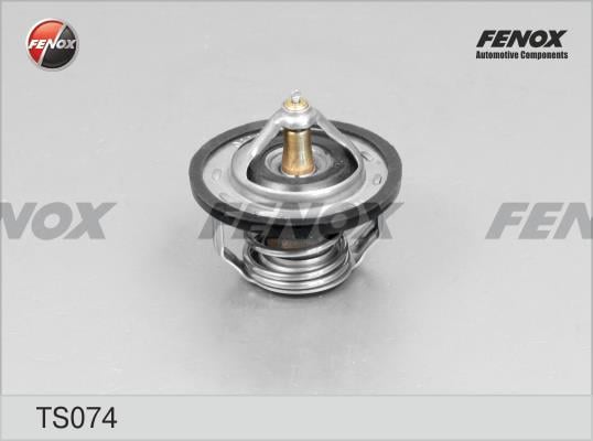 Fenox TS074 Термостат TS074: Купити в Україні - Добра ціна на EXIST.UA!