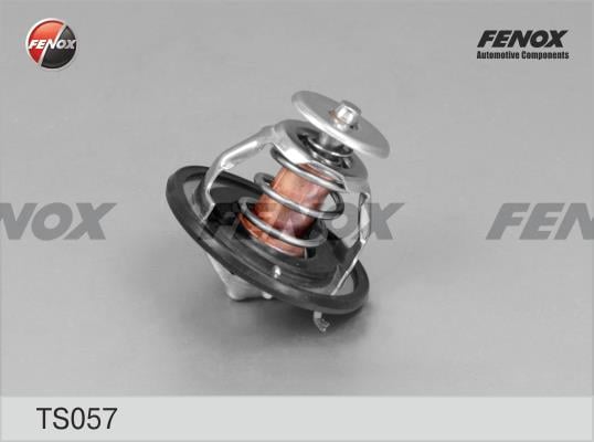 Fenox TS057 Термостат TS057: Купити в Україні - Добра ціна на EXIST.UA!