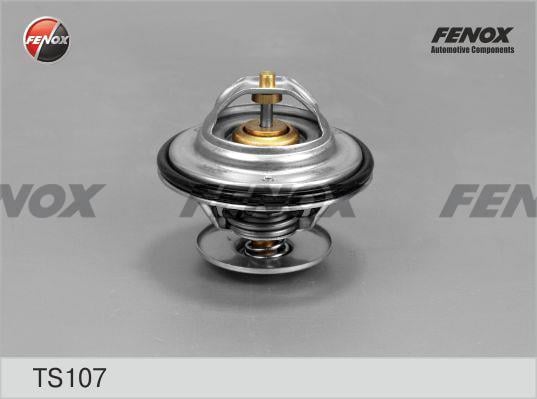 Fenox TS107 Термостат TS107: Купити в Україні - Добра ціна на EXIST.UA!