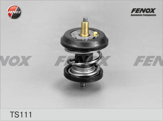 Fenox TS111 Термостат TS111: Купити в Україні - Добра ціна на EXIST.UA!