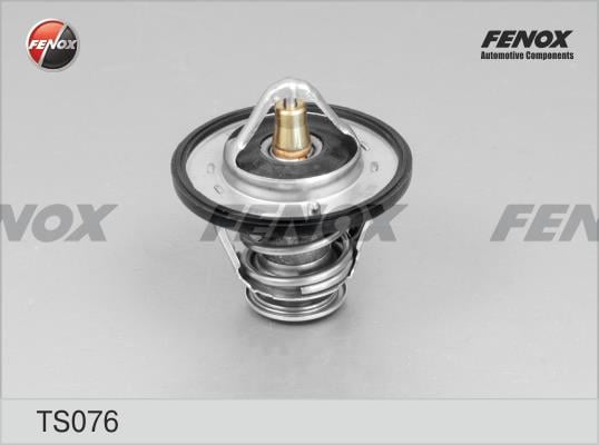 Fenox TS076 Термостат TS076: Приваблива ціна - Купити в Україні на EXIST.UA!