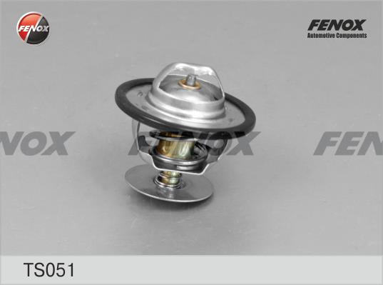 Fenox TS051 Термостат TS051: Купити в Україні - Добра ціна на EXIST.UA!