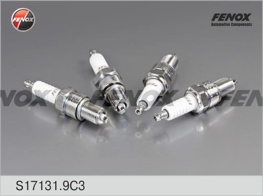Fenox S17131.9C3 Свічка запалювання S171319C3: Купити в Україні - Добра ціна на EXIST.UA!