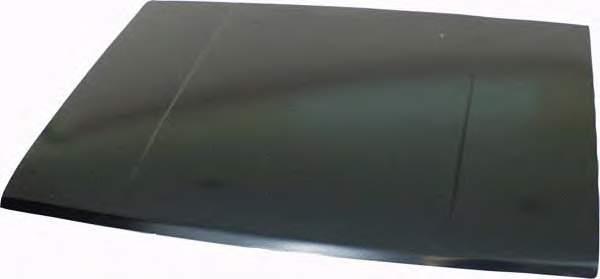 6510016M10 Nissan Капот