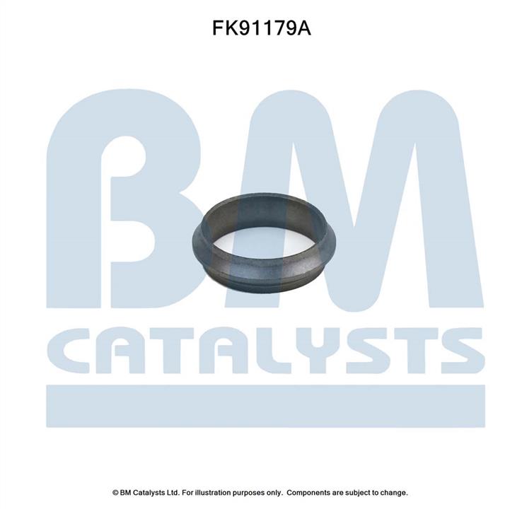 BM Catalysts FK91179 Комплект для монтажу, каталізатор FK91179: Купити в Україні - Добра ціна на EXIST.UA!