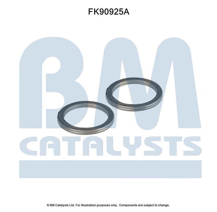 BM Catalysts FK90925 Комплект для монтажу, каталізатор FK90925: Купити в Україні - Добра ціна на EXIST.UA!