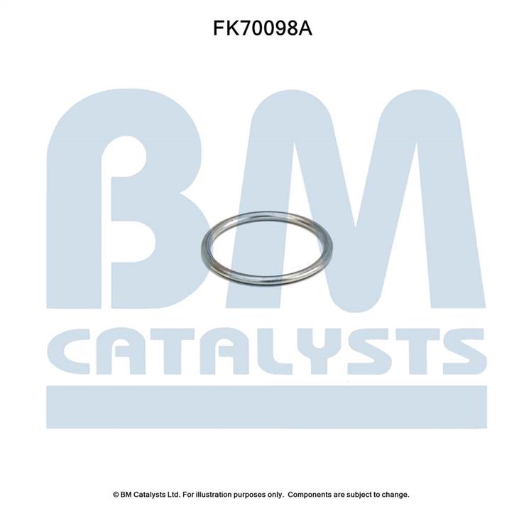 BM Catalysts FK70098 Комплект монтажний кріплень вихлопної системи FK70098: Купити в Україні - Добра ціна на EXIST.UA!