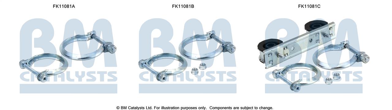 BM Catalysts FK11081 Фільтр сажевий DPF FK11081: Купити в Україні - Добра ціна на EXIST.UA!