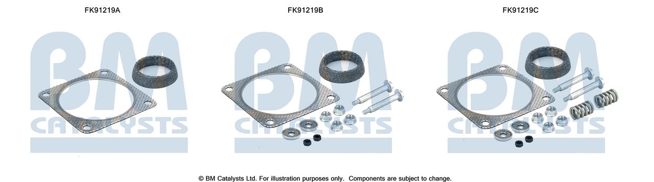 BM Catalysts FK91219 Комплект для монтажу, каталізатор FK91219: Купити в Україні - Добра ціна на EXIST.UA!