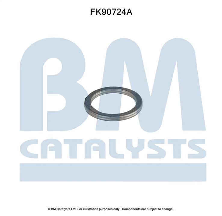 BM Catalysts FK90724 Комплект для монтажу, каталізатор FK90724: Купити в Україні - Добра ціна на EXIST.UA!