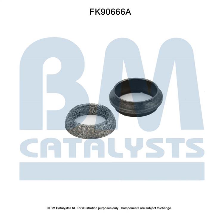 BM Catalysts FK90666 Комплект для монтажу, каталізатор FK90666: Купити в Україні - Добра ціна на EXIST.UA!