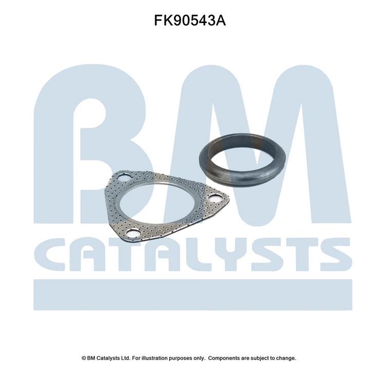 BM Catalysts FK90543 Комплект для монтажу, каталізатор FK90543: Купити в Україні - Добра ціна на EXIST.UA!