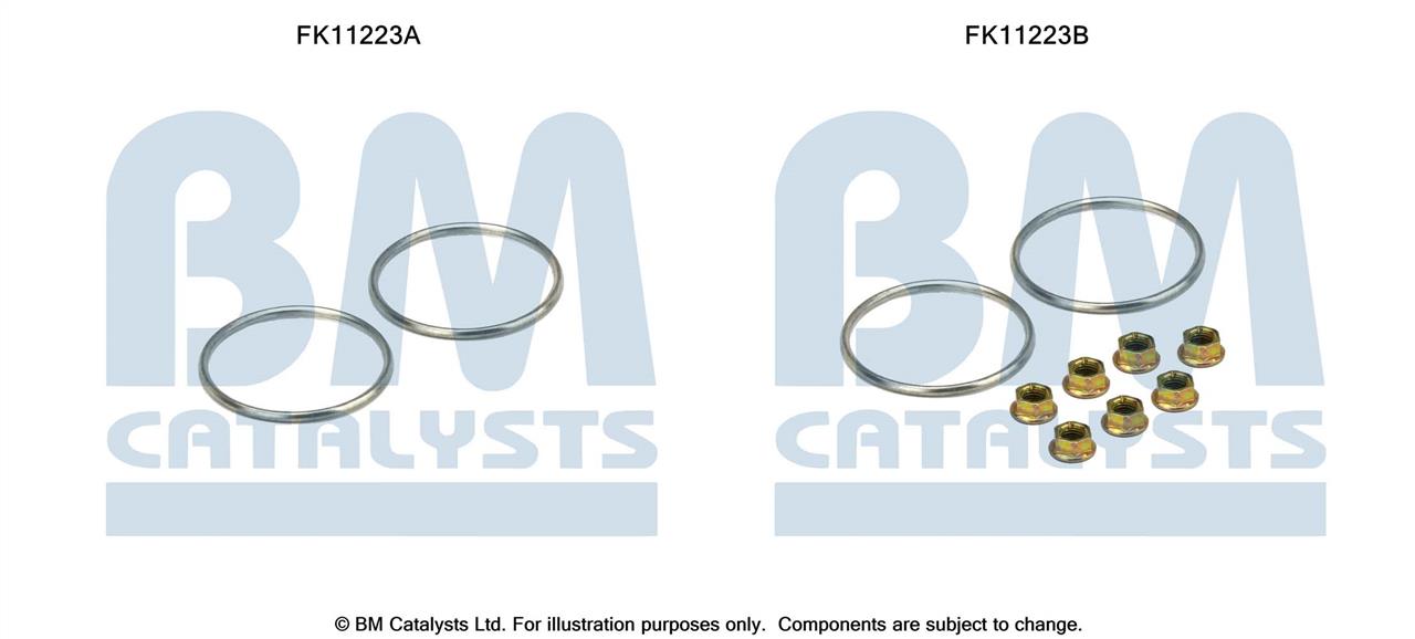 BM Catalysts FK11223 Фільтр сажевий DPF FK11223: Купити в Україні - Добра ціна на EXIST.UA!