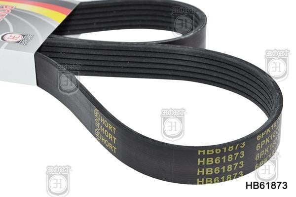 Hort HB61873 Ремінь поліклиновий HB61873: Купити в Україні - Добра ціна на EXIST.UA!
