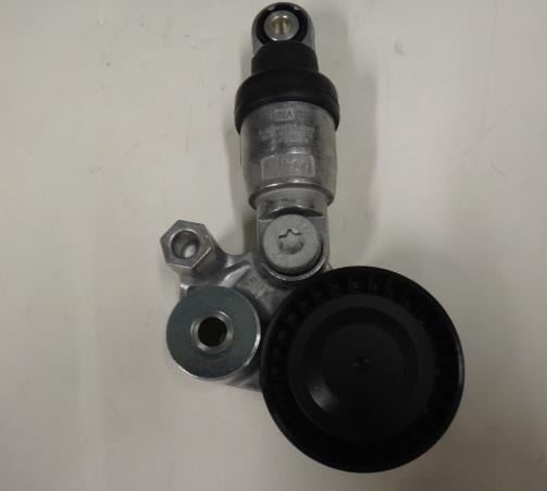 PET215980 Mazda Натяжитель ремня поликлинового (приводного)