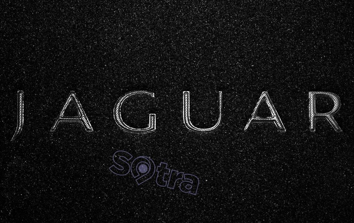 Органайзер в багажник Sotra medium black Jaguar Sotra 079080-XL-BLACK