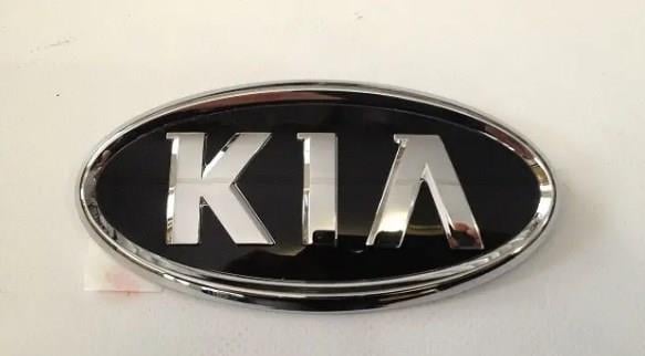 Емблема кришки багажника Hyundai&#x2F;Kia 86310 1G100