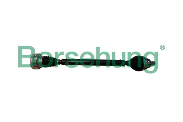 B17853 Borsehung Вал